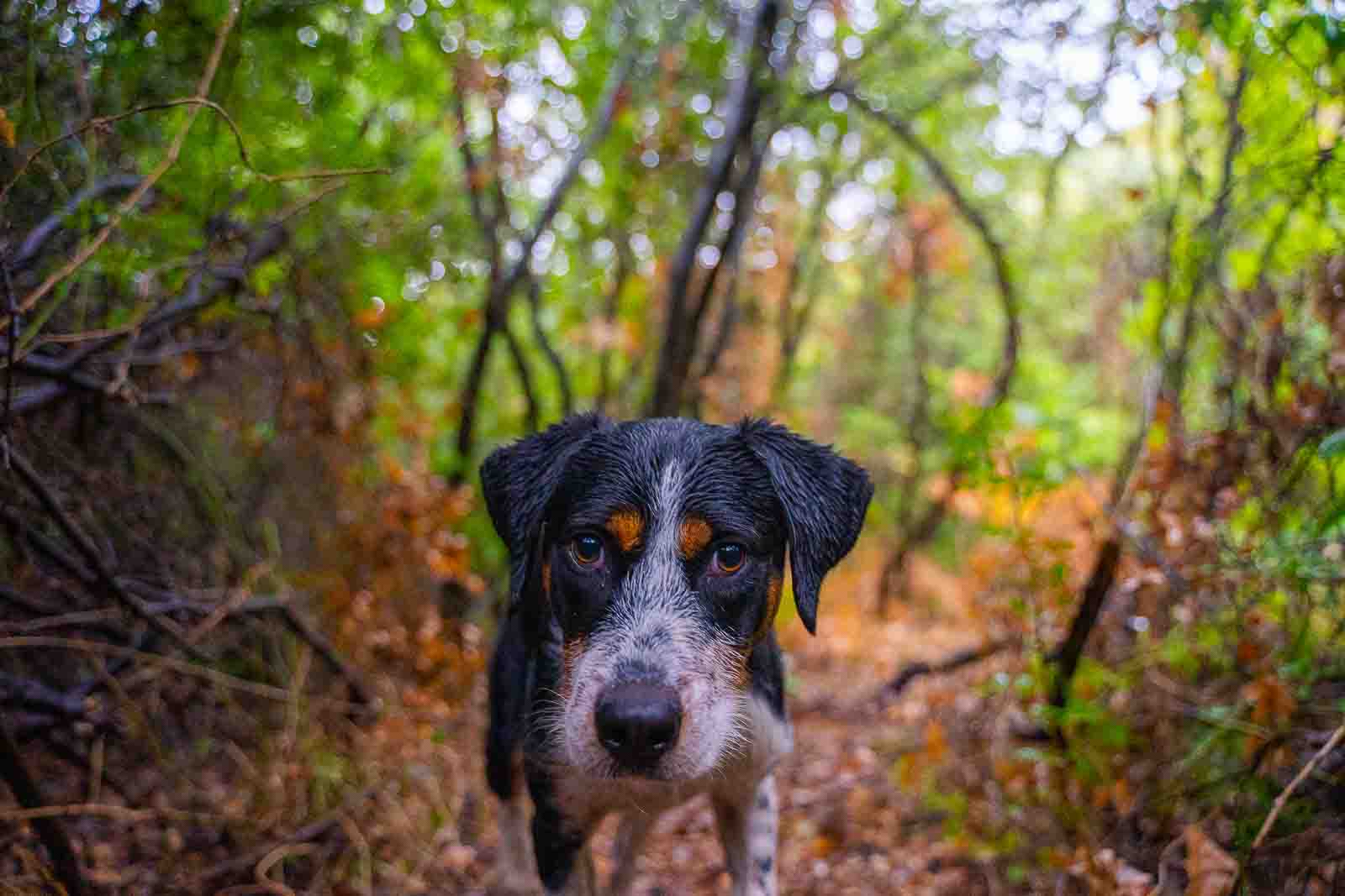 Pelopponese Documentary - Photography